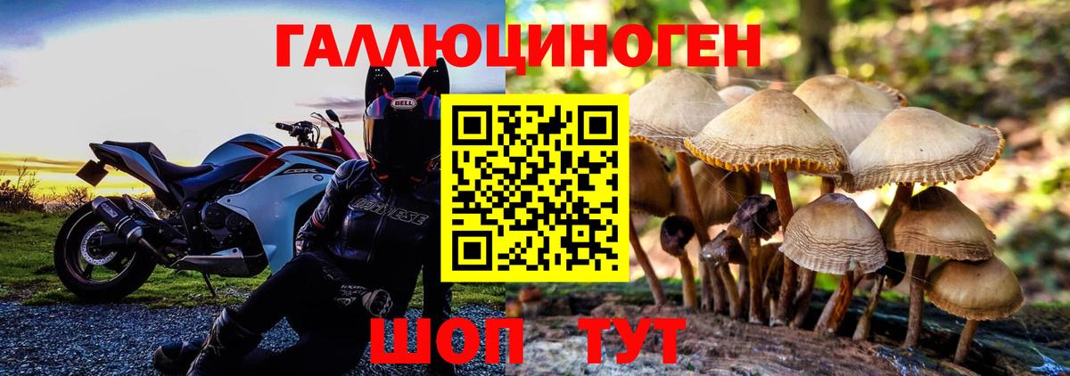 Псилоцибиновые грибы MAGIC MUSHROOMS  Псилоцибиновые грибы мухоморы  Городец  Вход с VPN 
